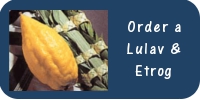 Order Lulav.jpg